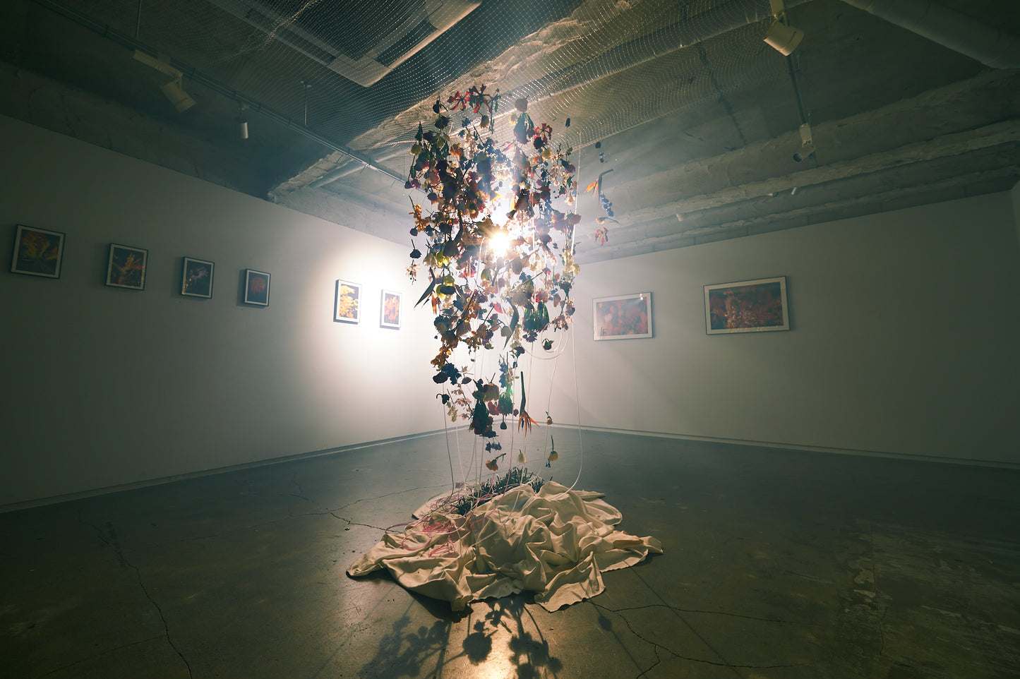 【A2】Photo Pixel Sorting Series No.3