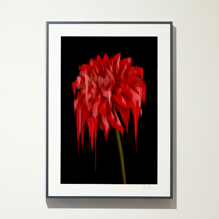 【A4】Photo Pixel Sorting Series No.10