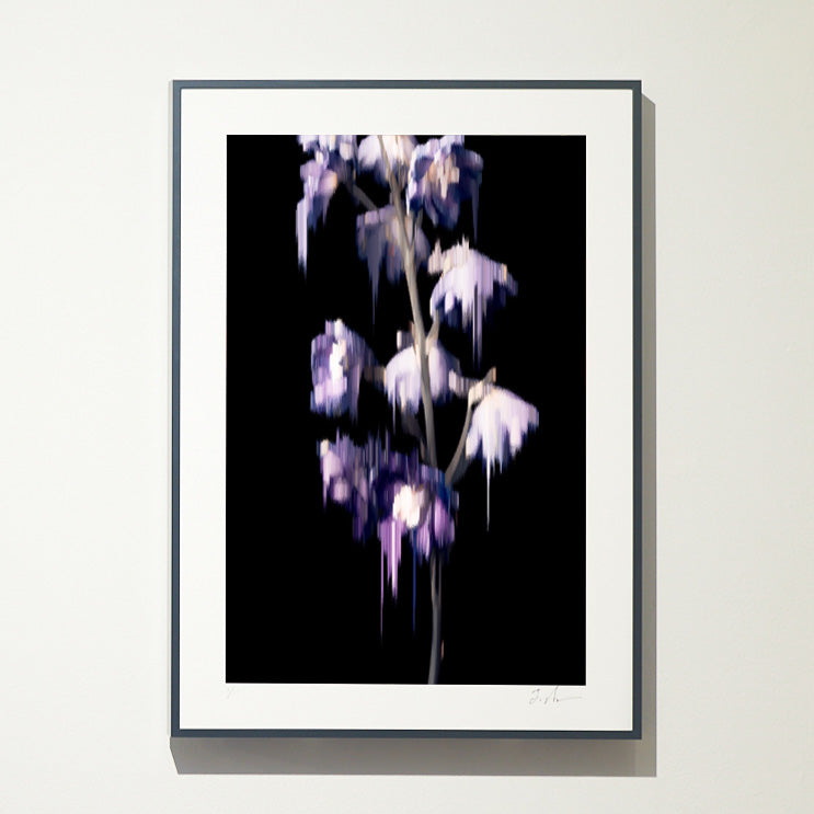 【A4】Photo Pixel Sorting Series No.16