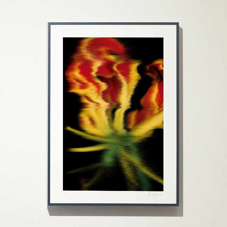【A4】Photo Pixel Sorting Series No.15