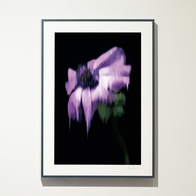 【A4】Photo Pixel Sorting Series No.9
